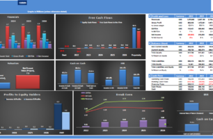 5 Year Financial Model on a Monthly Basis in Excel & Business Plan in a Powerpoint Format